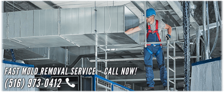 Air Duct Mold Removal in Long Island